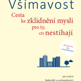 Všímavost - Cesta ke zklidnění mysli pro ty, co nestíhají